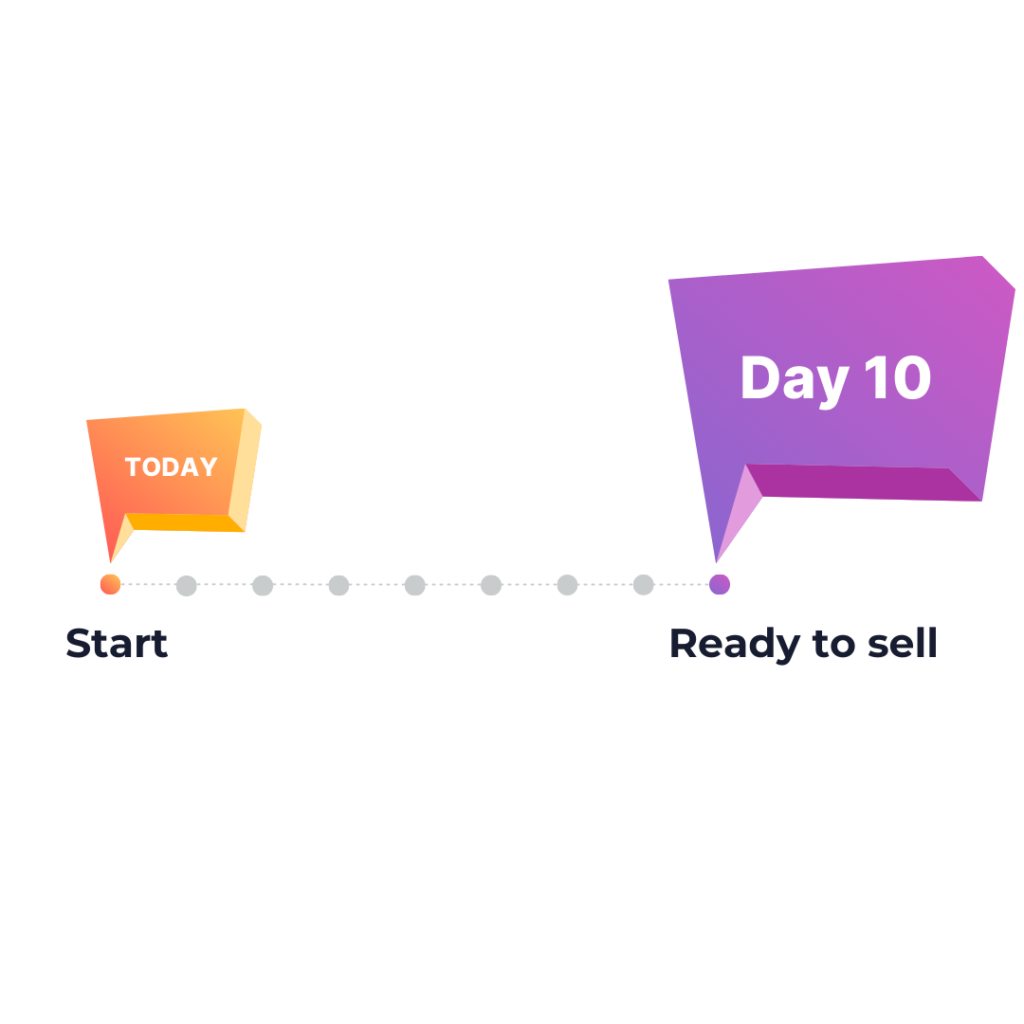 WooCommerce Store in 10 Days.